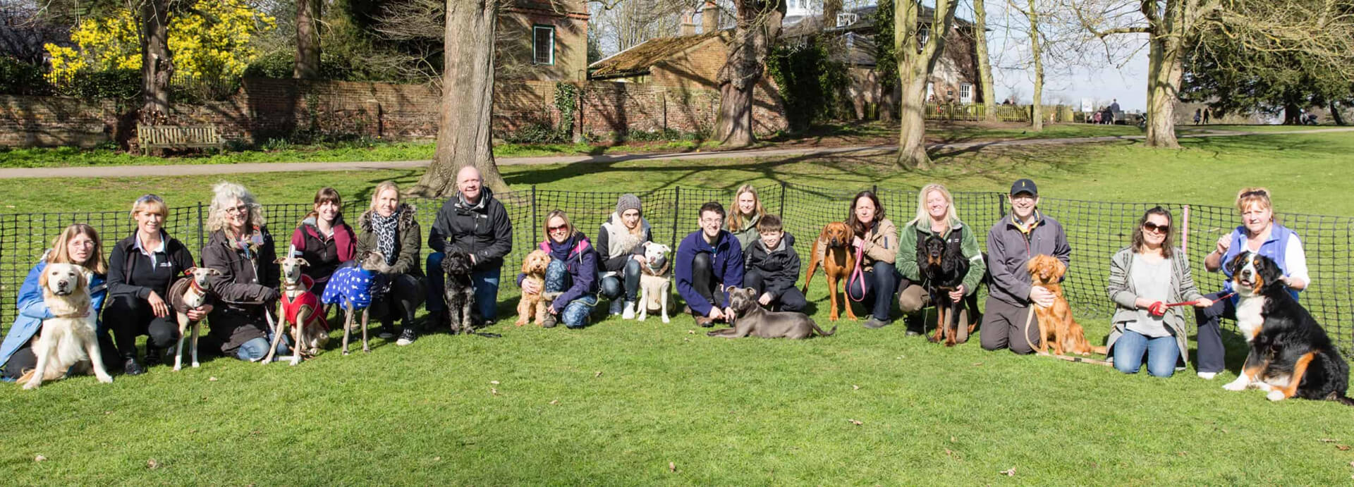 People with Dogs