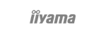 iiyama