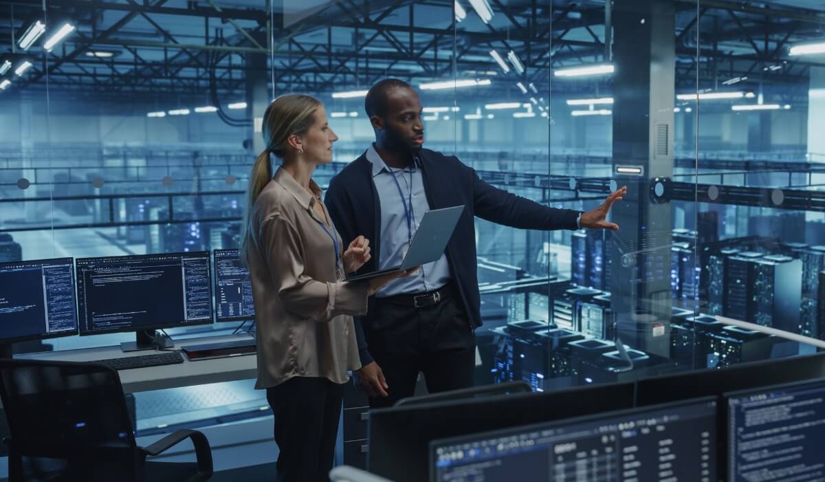 High-Skilled IT Professionals