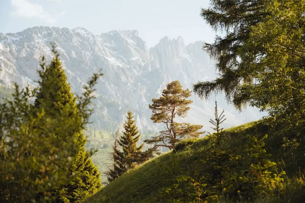 Sommerlandschaft Eggental Südtirol – Natur und Berge nahe Vinea Guesthouse Karneid