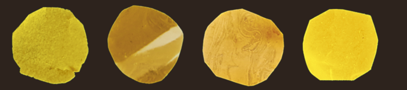 Polyemeric Films Madrid.png