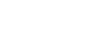 Logo of Mors Capital in white