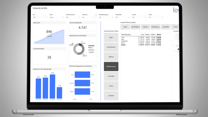 Individualentwicklungen HRRS