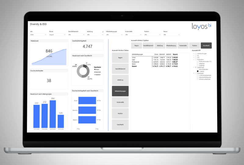 Individualentwicklungen HRRS