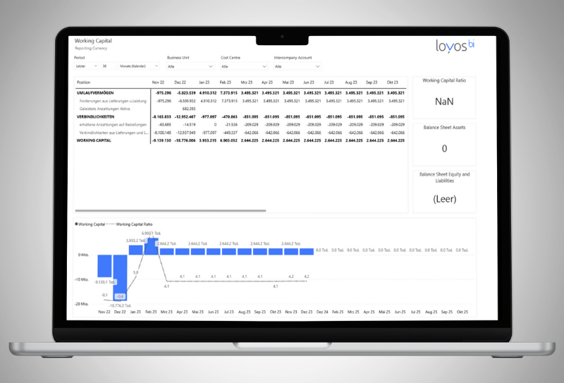 Reporting & Analytics sofort nutzbar FMS loyos bi
