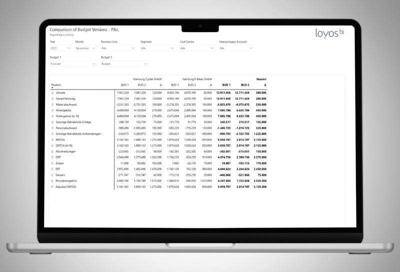 Planung & Forecasting Plan-Ist-Vergleich FMS loyos bi