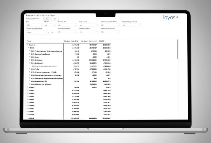 Konsolidierung Transparenz Prüfer FMS loyos bi