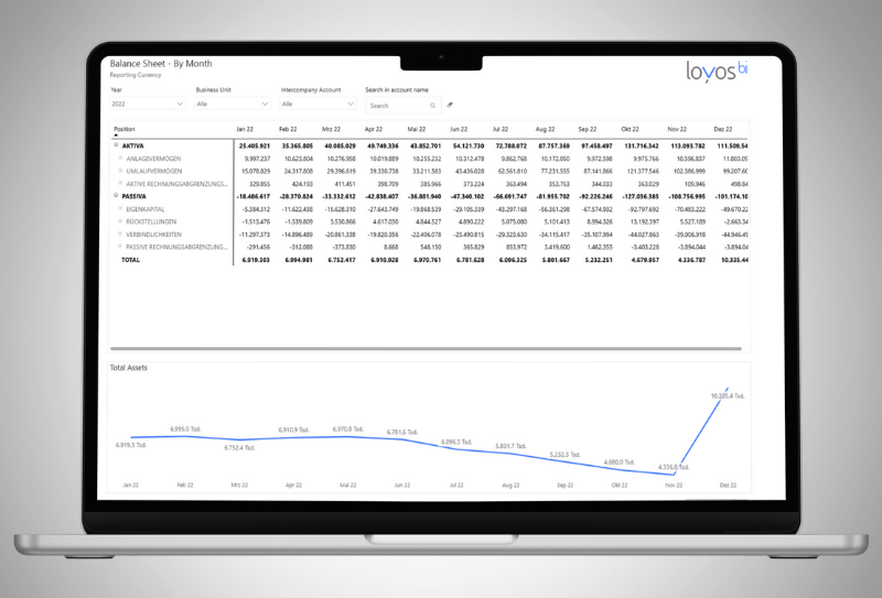 Konsolidierung Konzernabschluss FMS loyos bi