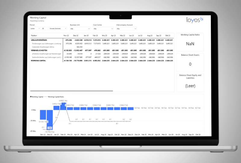 Erweiterungen Working Capital FMS loyos bi