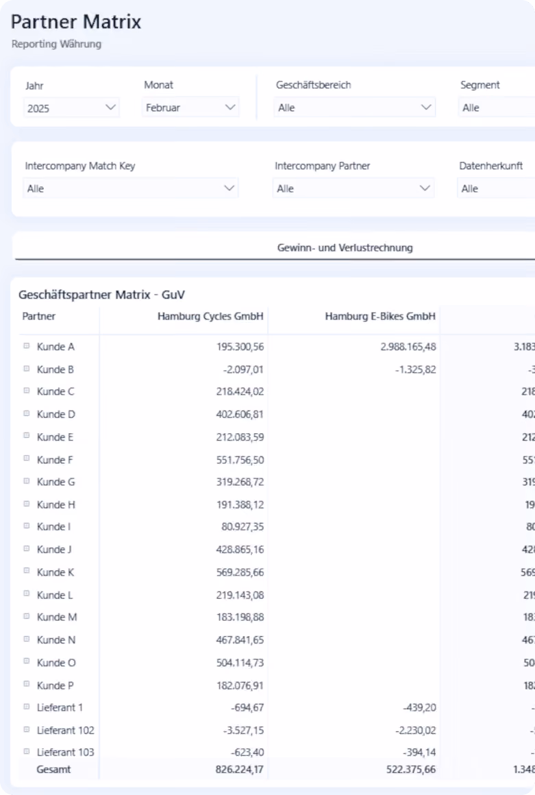 Das ist ein Screenshot aus der loyos bi Financial Management Suite und zeigt den Reiter Partner Matrix als Beispiel für eine Erweiterung.