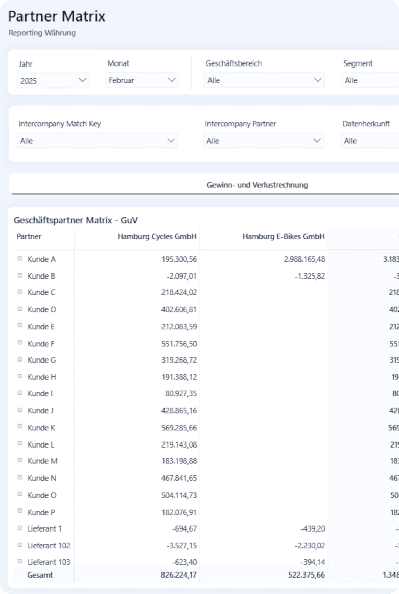 Das ist ein Screenshot aus der loyos bi Financial Management Suite und zeigt den Reiter Partner Matrix als Beispiel für eine Erweiterung.