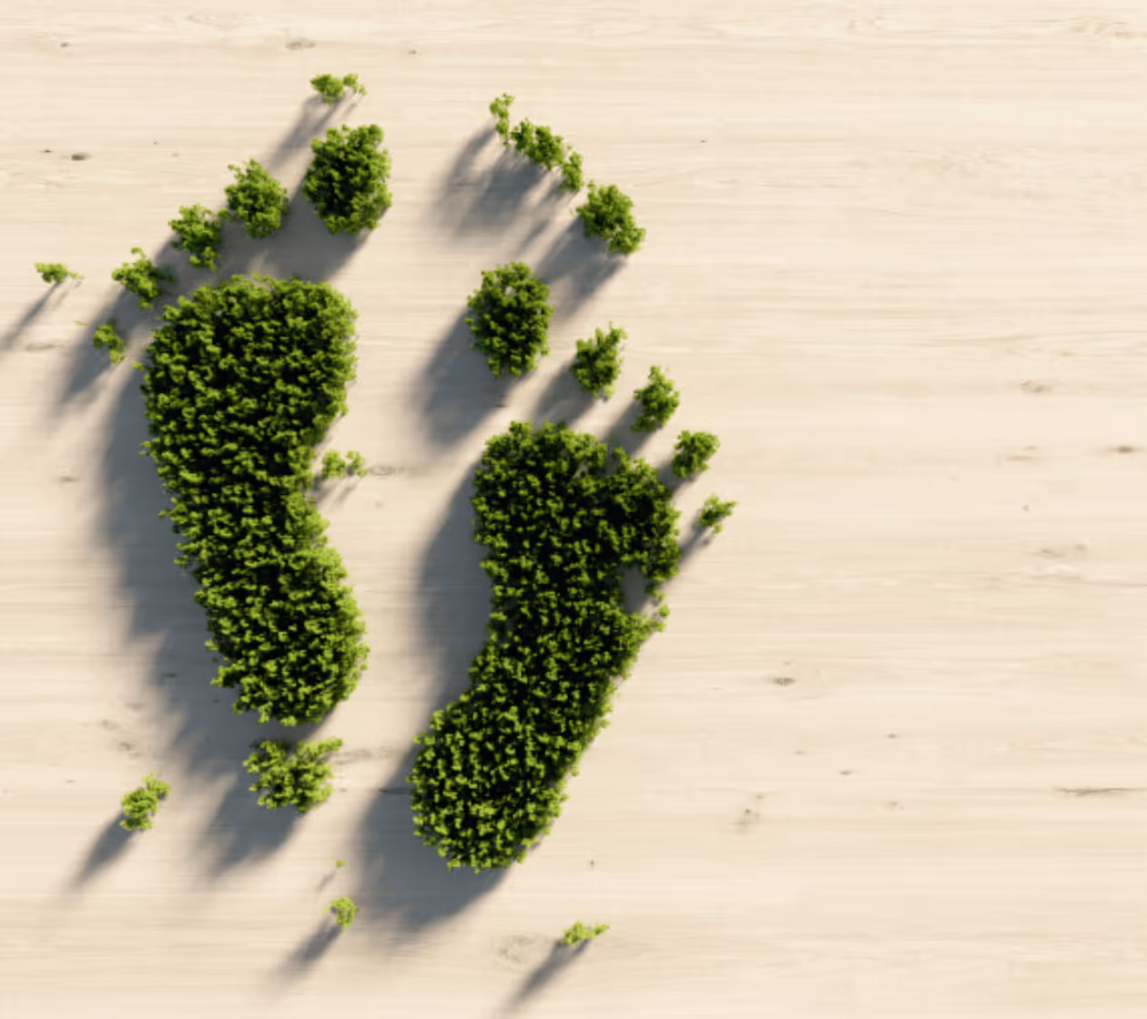 Green Stay: The Road to Net-Zero in the Global Hotel Sector
