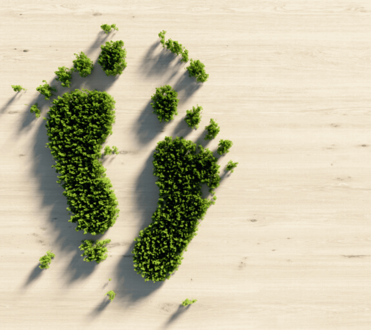 Green Stay: The Road to Net-Zero in the Global Hotel Sector