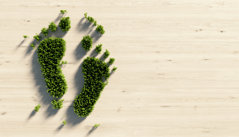 Green Stay: The Road to Net-Zero in the Global Hotel Sector