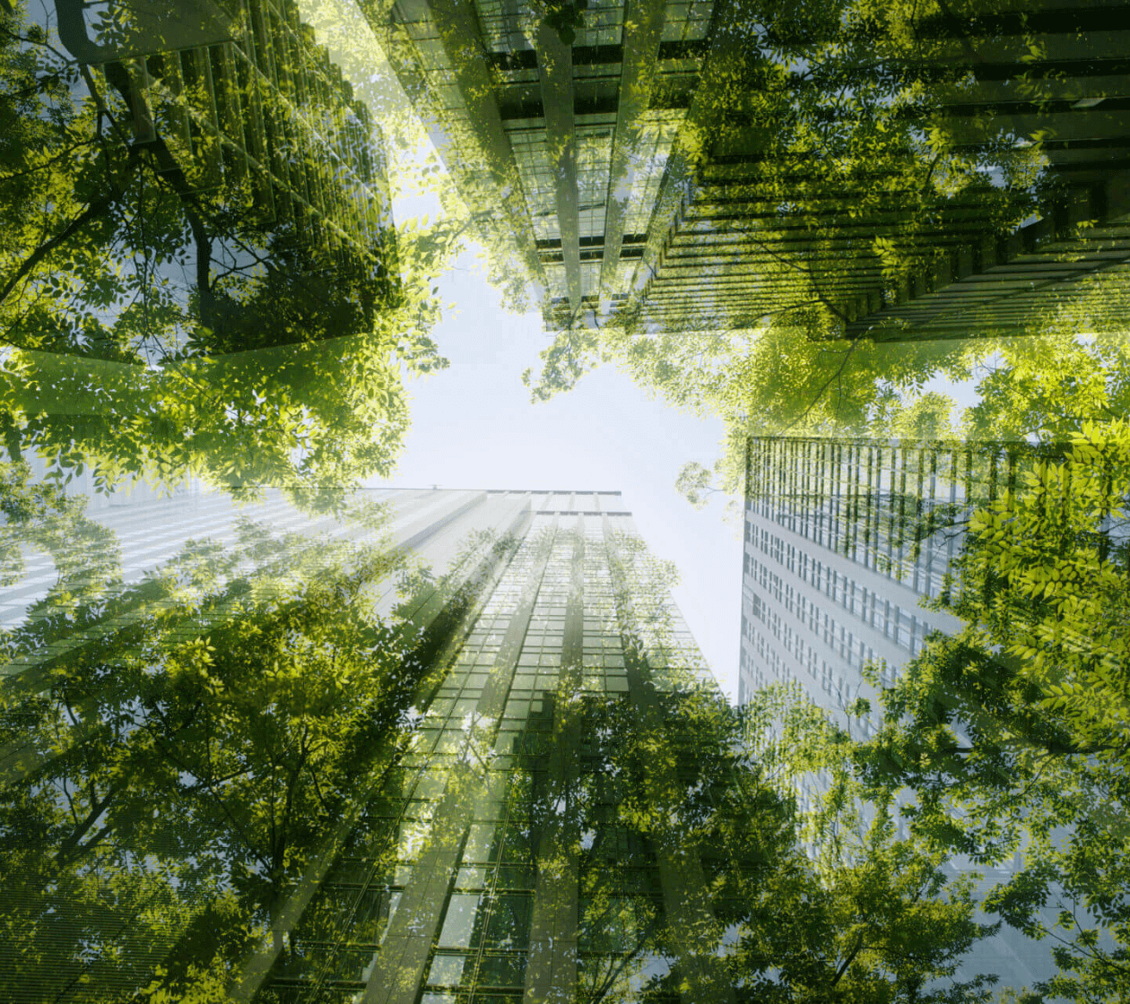 The Current State of Sustainable Corporate Travel