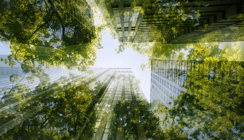 The Current State of Sustainable Corporate Travel