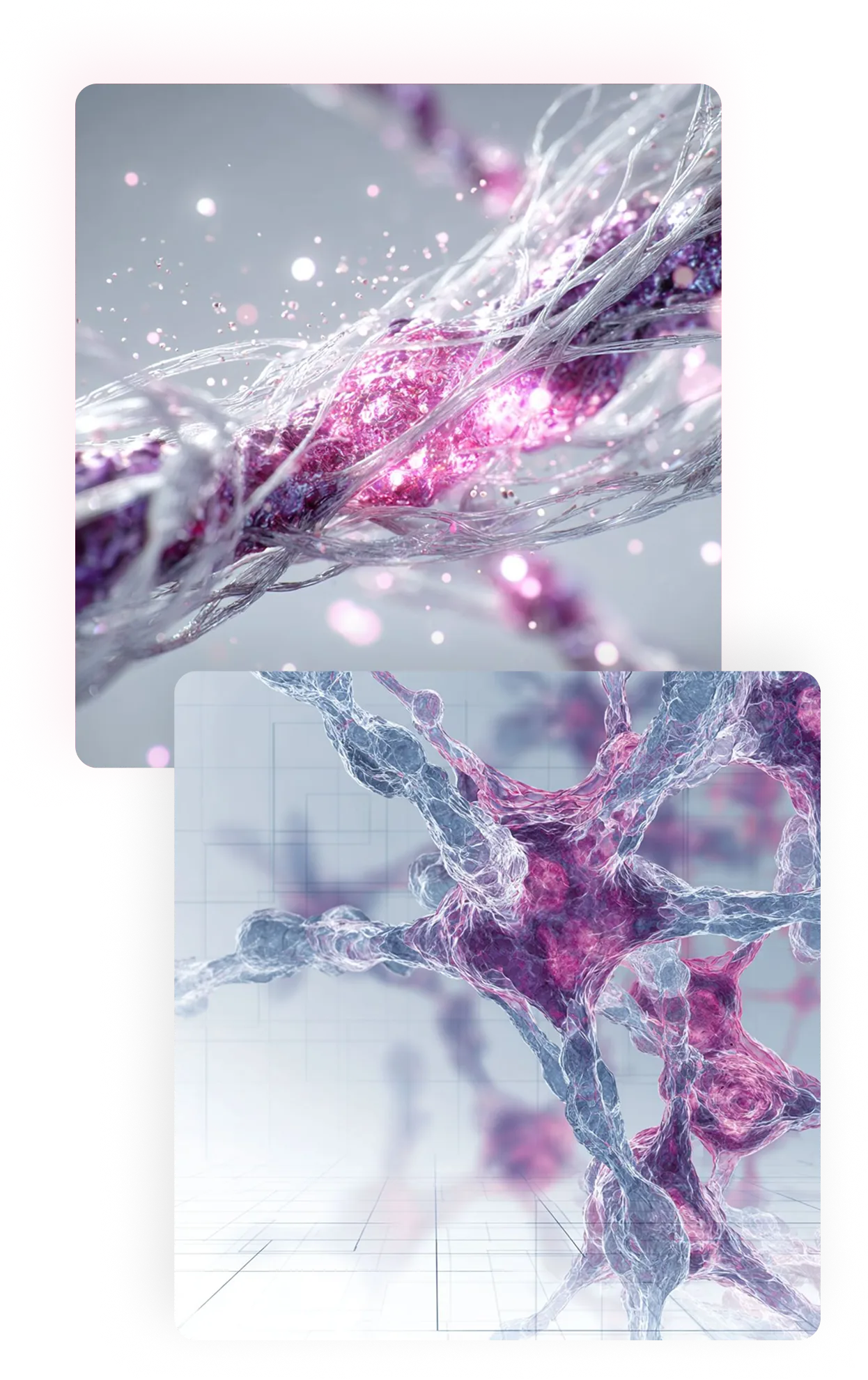 Regenerative Blueprint