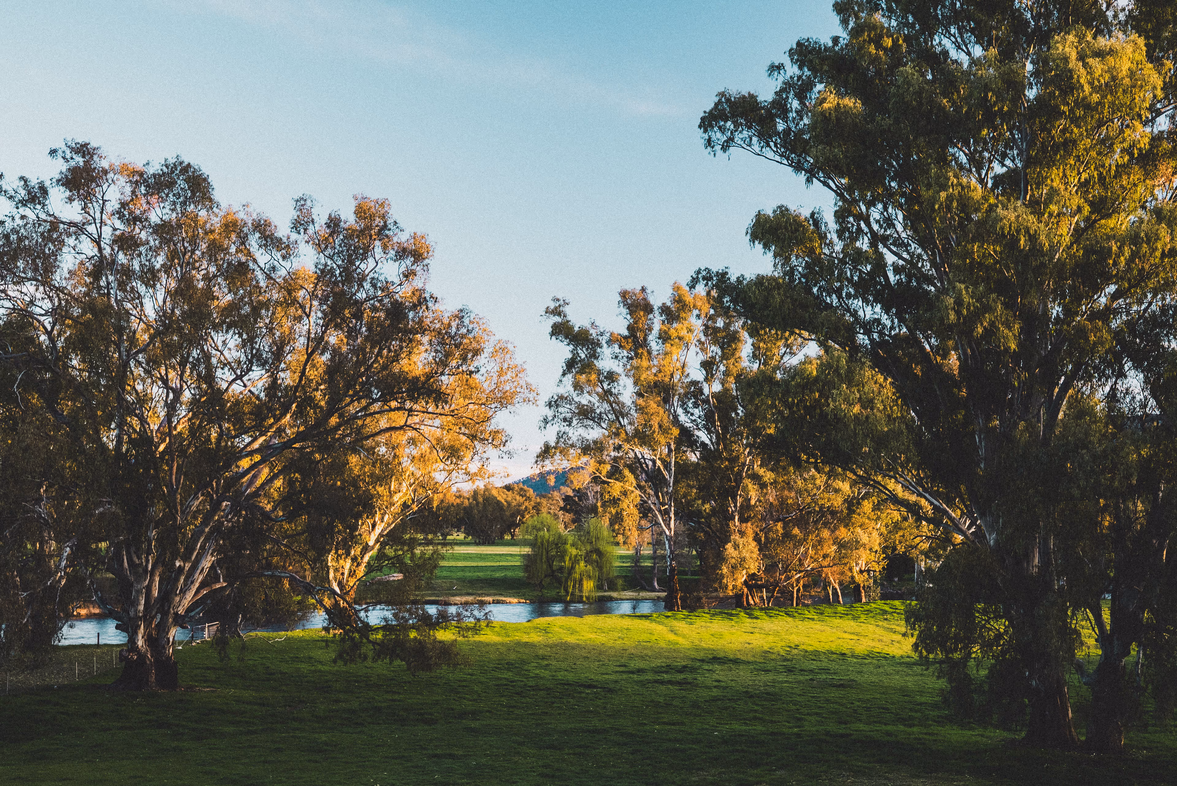 Tumut River view from Yiramir property – fishing access