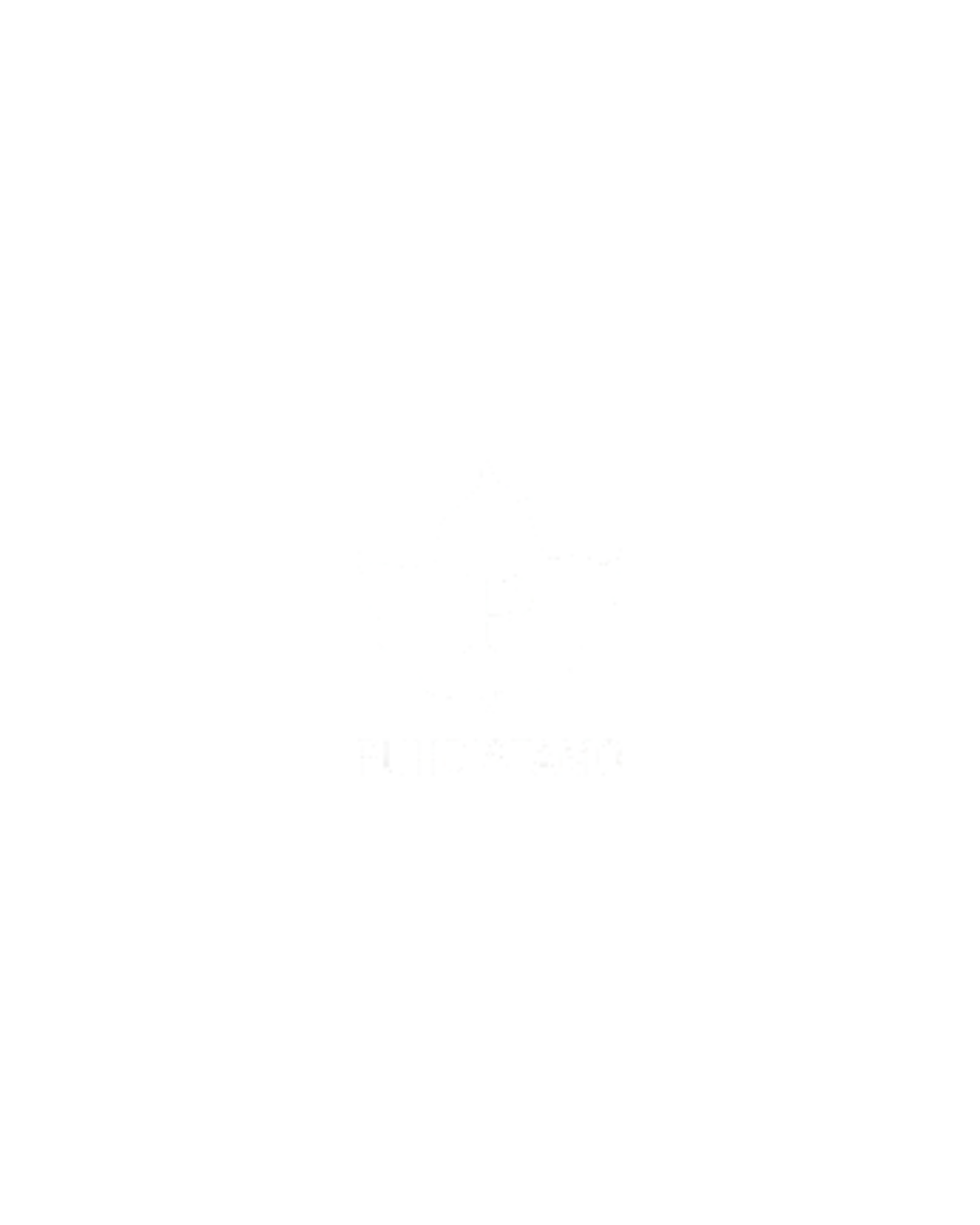 White stylized maple leaf with the letter 'P' inside and the word 'PUHDISTAMO' below on a black background.