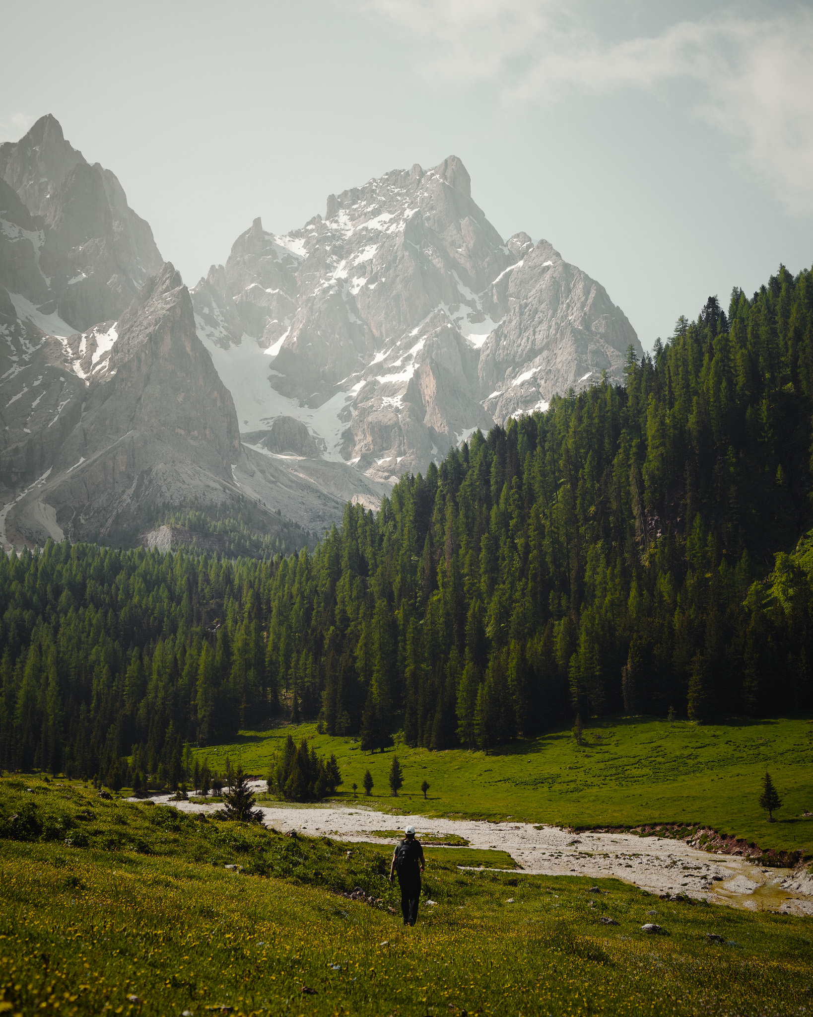 Person hiking on a grassy meadow near a river, with dense pine forest and snow-capped mountains in the background.