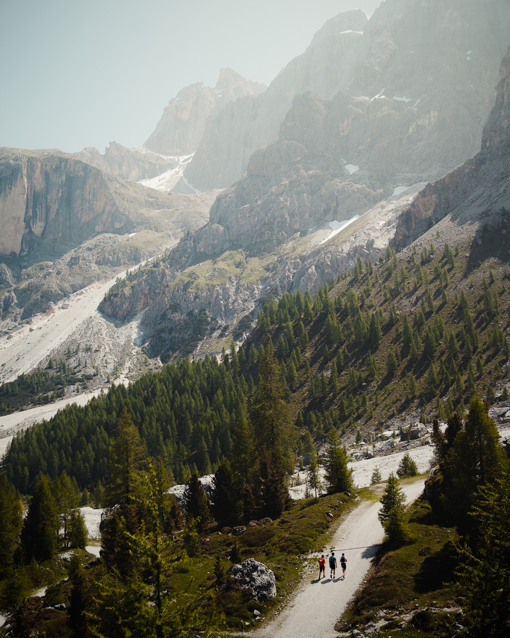 Three hikers walking on a mountain trail surrounded by pine trees with rocky mountains in the background.