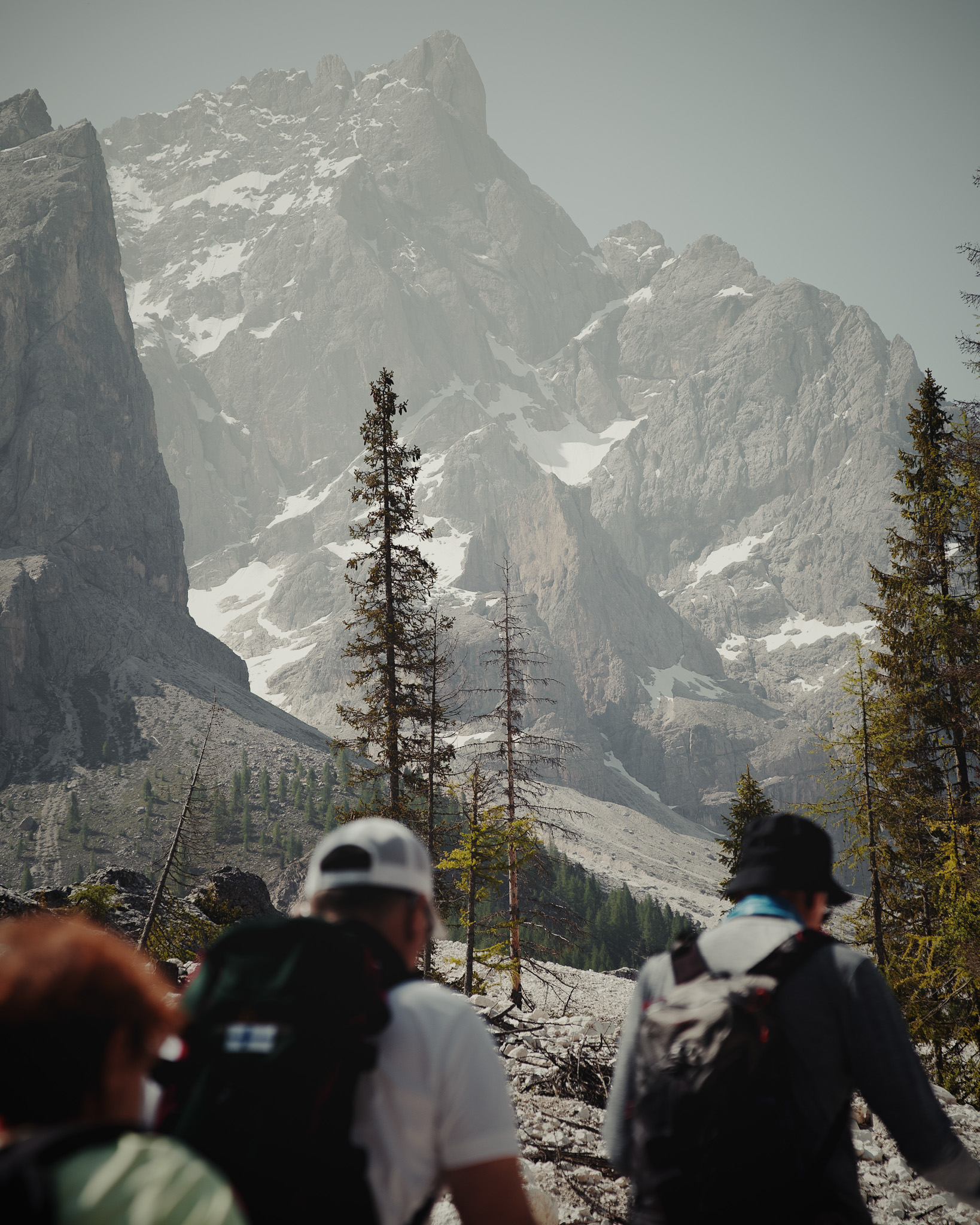 Three hikers with backpacks walking on rocky terrain toward tall, snow-capped mountain peaks and pine trees.