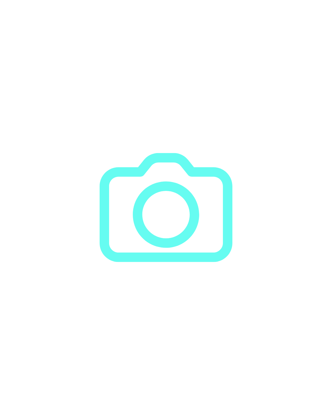 Light blue camera Icon