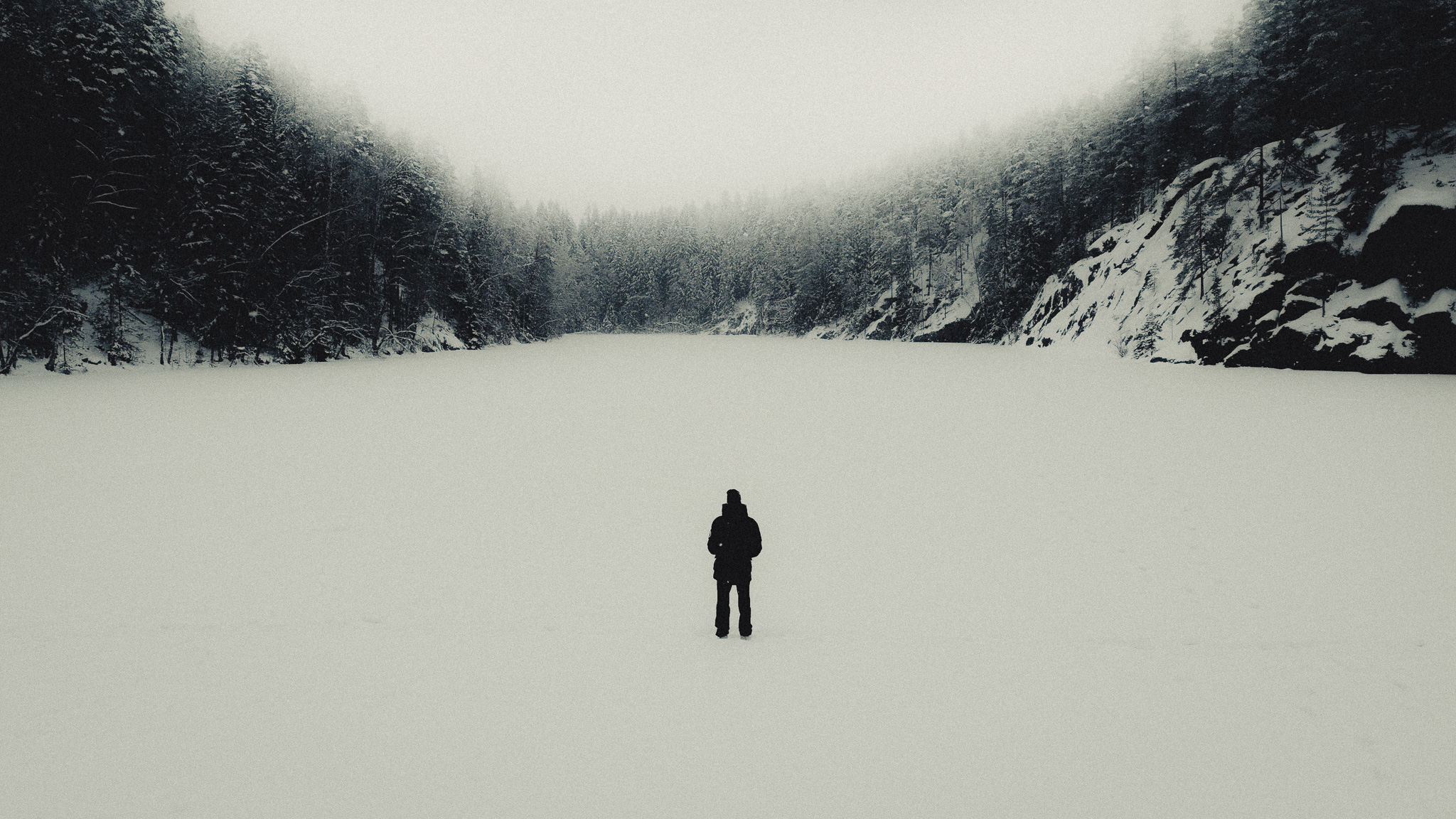 gallery wall of dental transformations