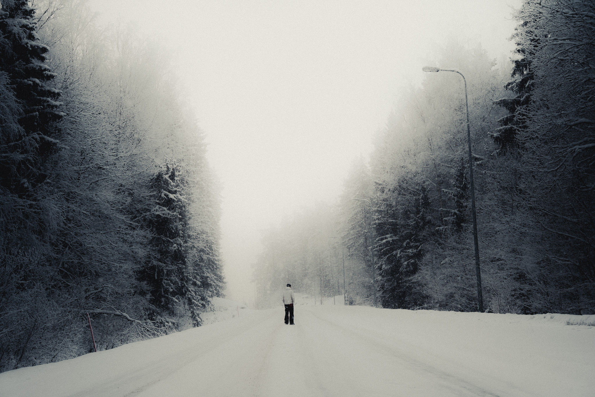 gallery wall of dental transformations