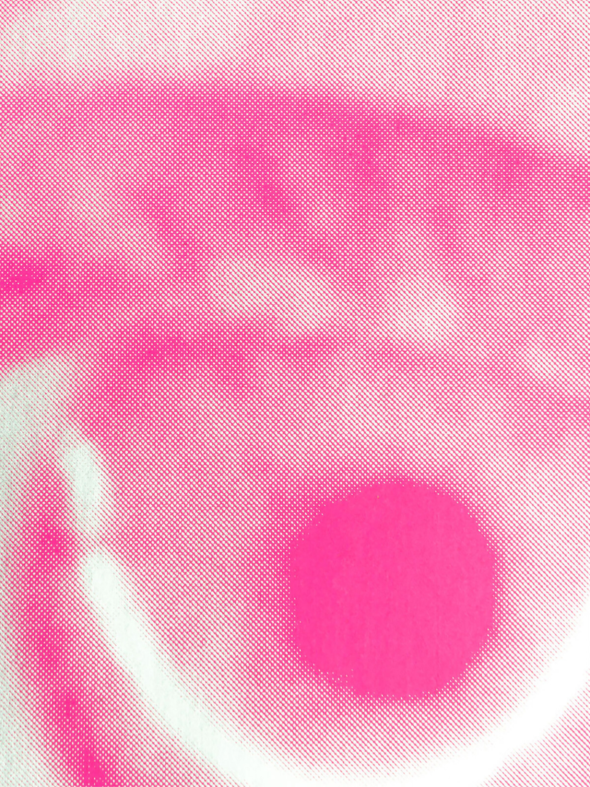 Close-up of a pink and white halftone pattern of the Solothurner Filmtage Poster
