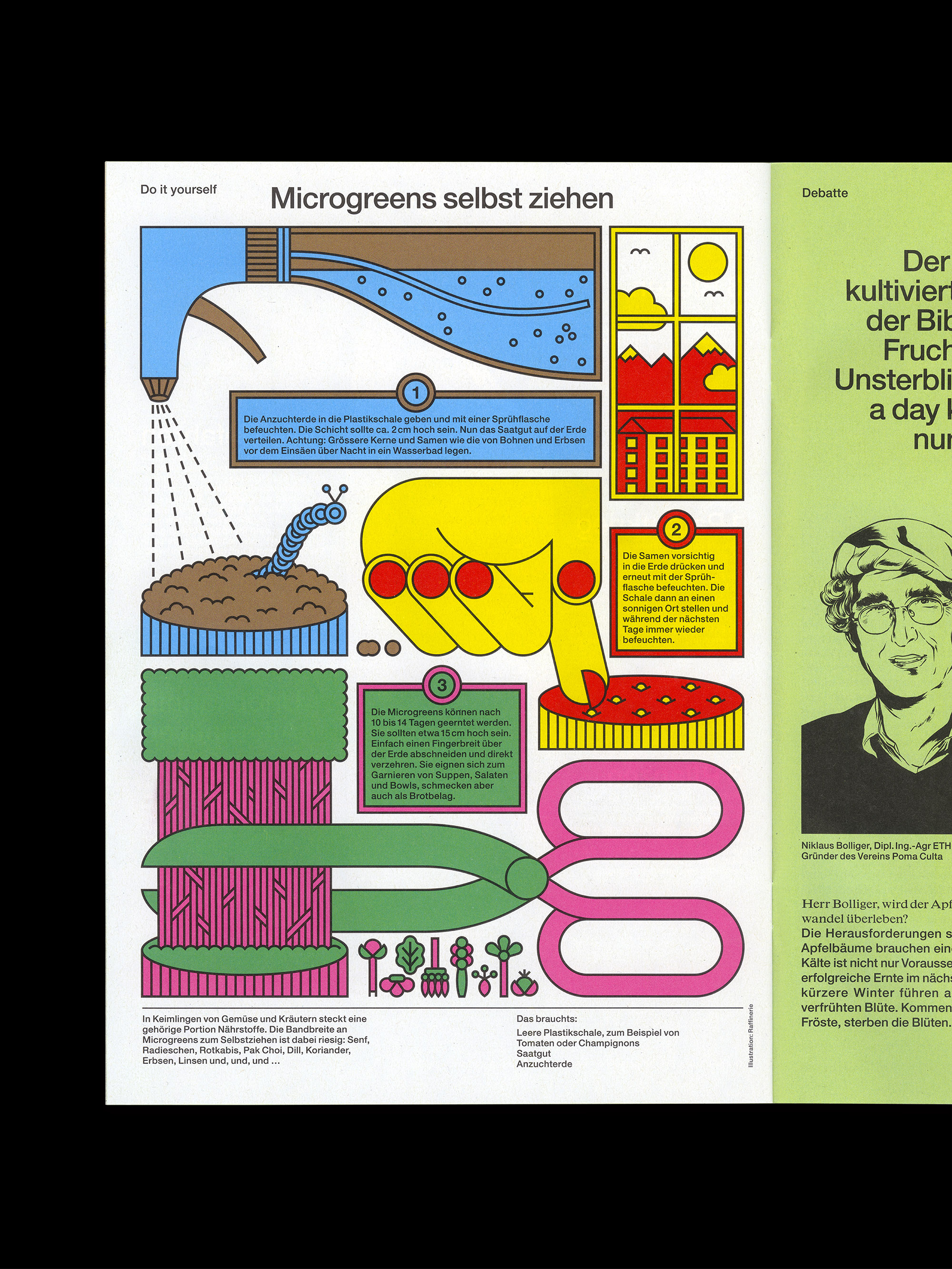 Illustrated step-by-step guide in German showing how to grow microgreens, including watering soil, planting seeds, covering and watering again, and harvesting with scissors.