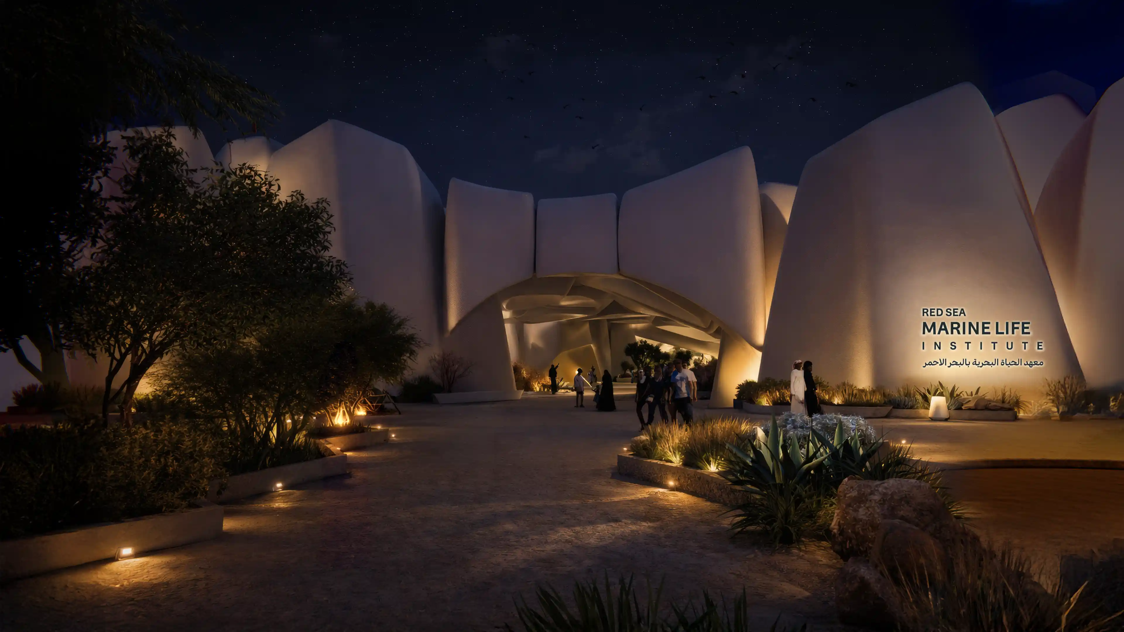 Main Identification signage at the entrance of Marine Life Institute at nighttime, designed by LIMAH