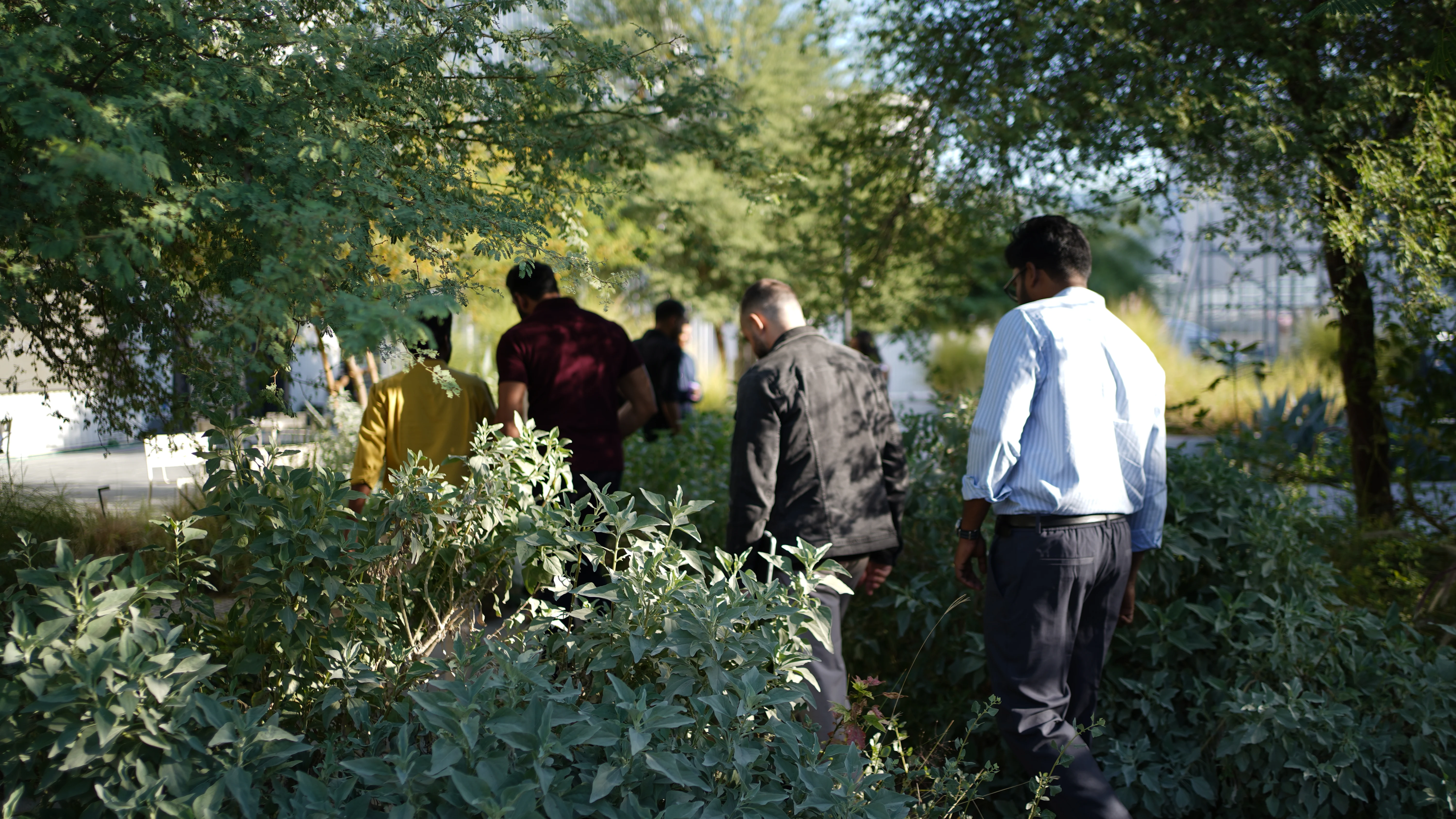 LIMAH team exploring the human journey through experience and design strategy.
