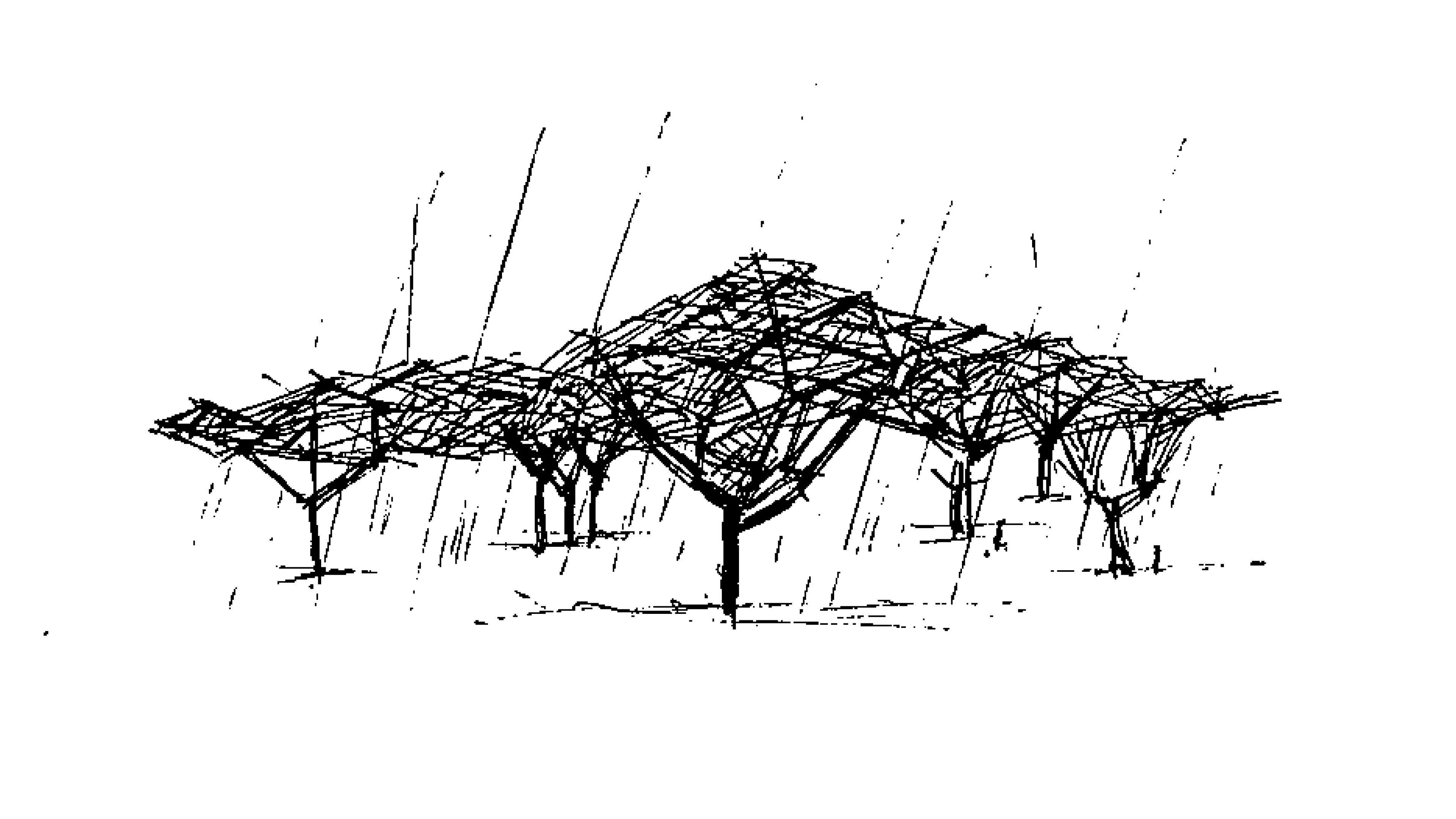LIMAH concept sketch illustrating how tree canopy forms inspired the glass arrival gateway design at Tilal Al Irfan.