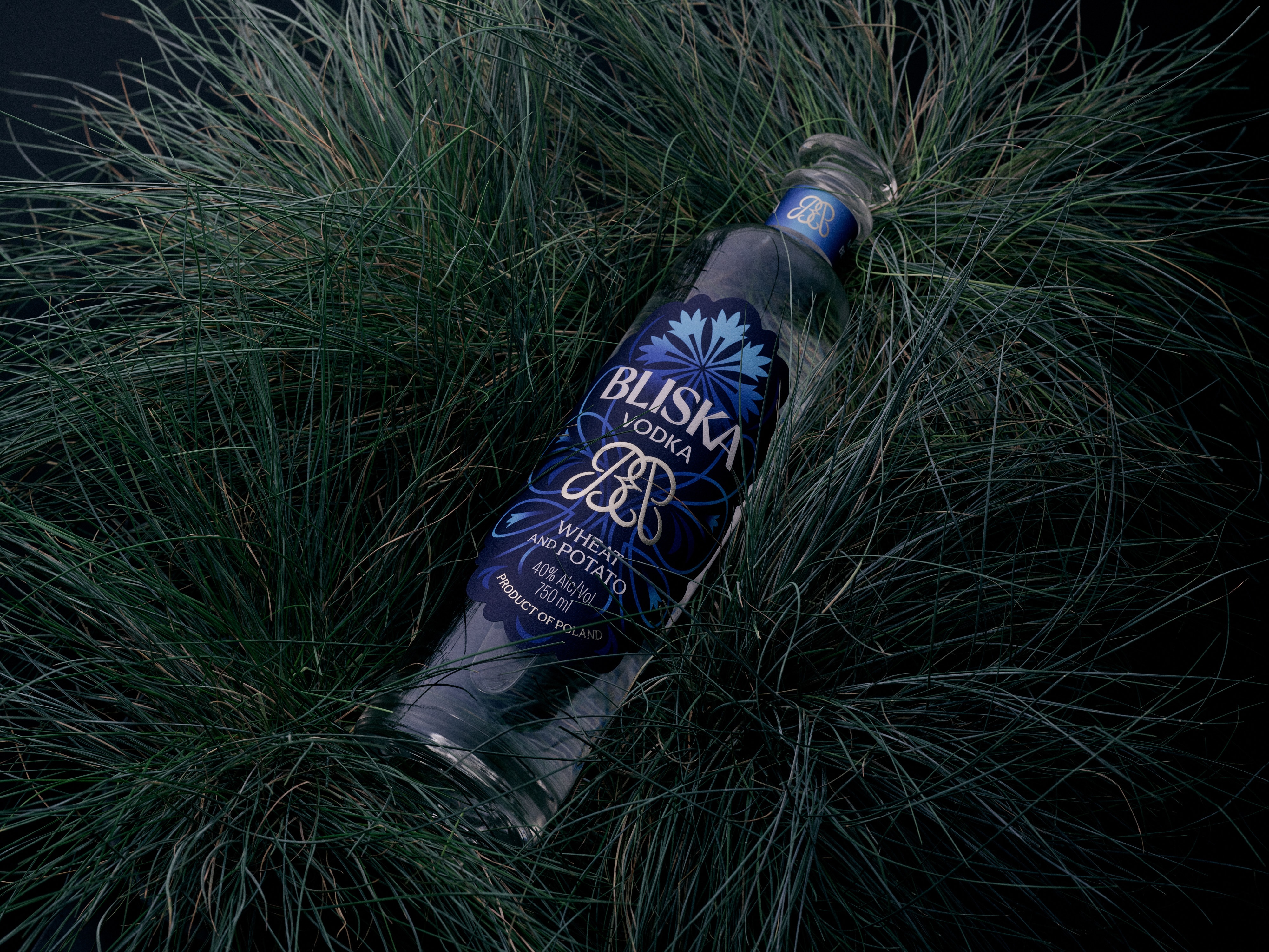 Bottle of Bliska vodka with blue label lying in dense green grass.