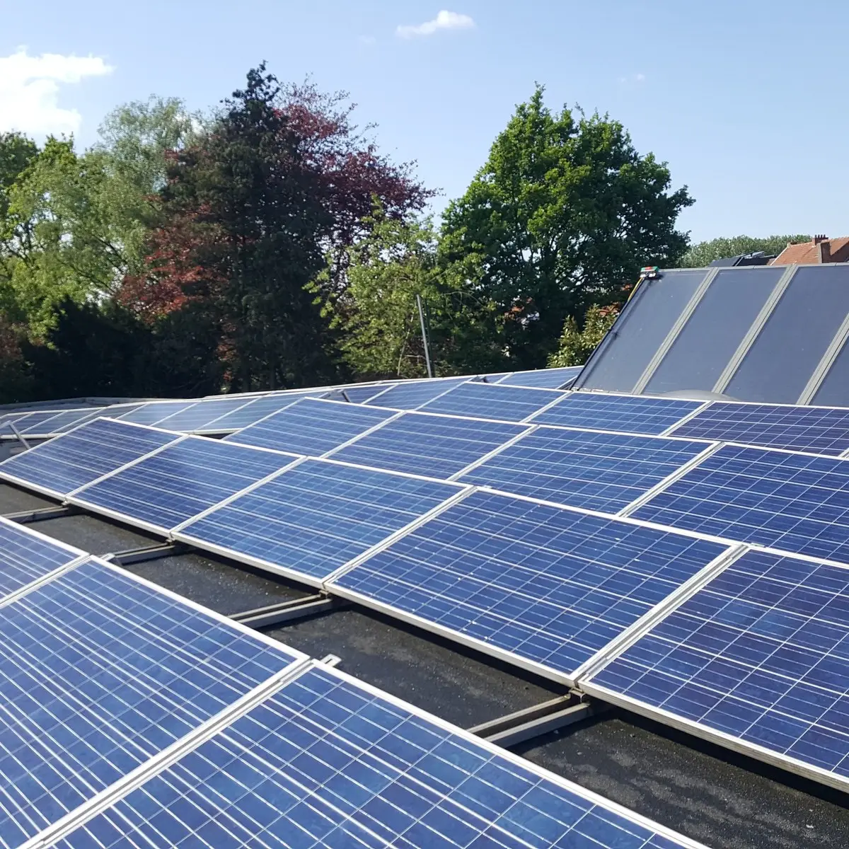 Glanzende zonnepanelen na professionele reiniging op bedrijfsgebouw in Boechout
