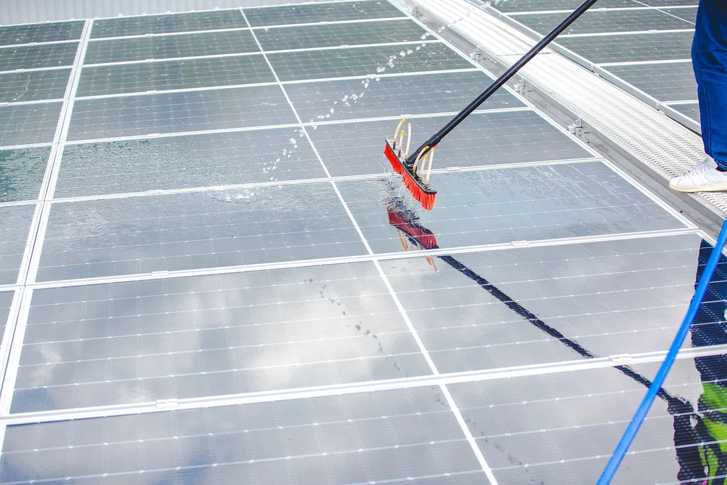 Reinigen van zonnepanelen met borstel op bedrijfsdak in regio Antwerpen