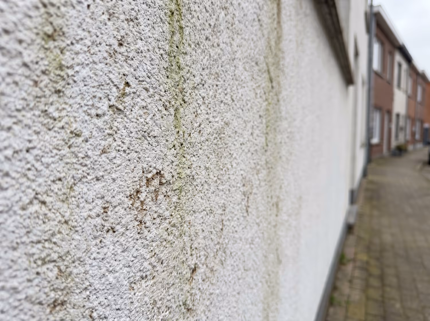 Witte buitenmuur met grove textuur en vlekken van groene algen langs een straat met woningen.