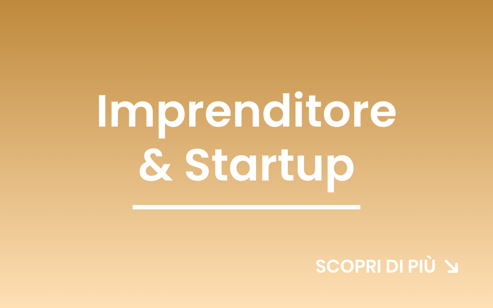 logo corsoexcel per la finanza