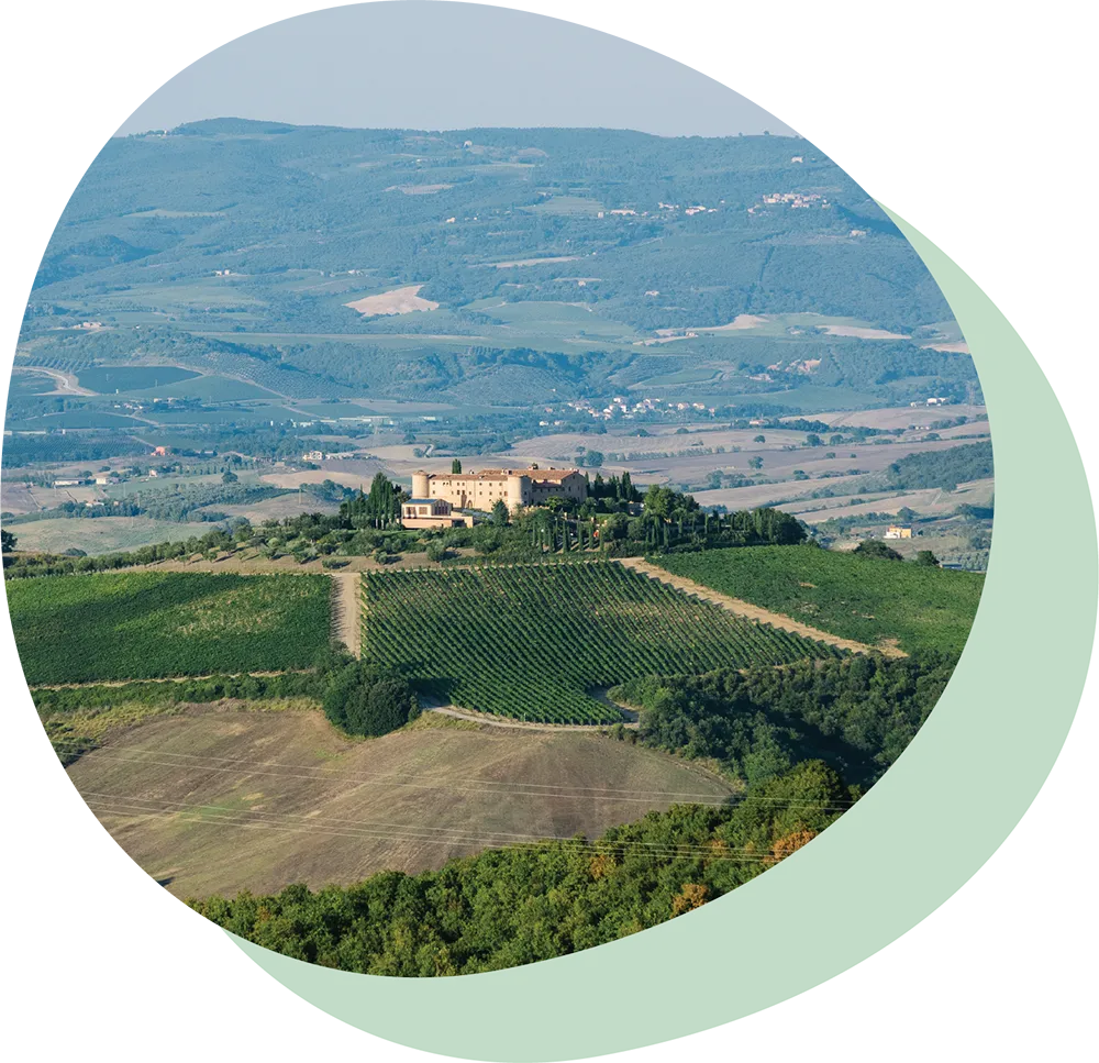 Oval shape image showing the ColleMassari Estate from a distance surrounded by vineyards on a gently sloping hill with mountainous landscape in the background.