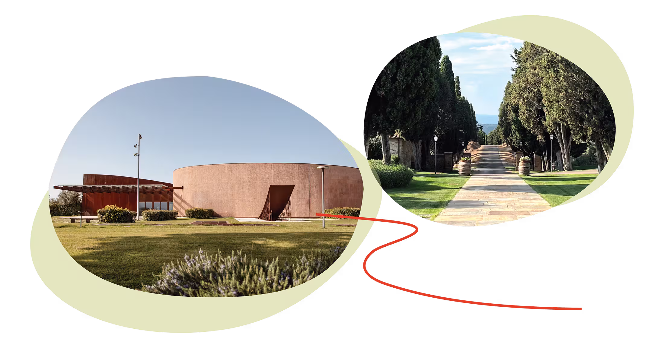 Two overlapping rounded-corner photos showing a vast olive grove on rolling hills and a tree-lined paved pathway flanked by grass and wine barrels from around the Forum Bertarelli.