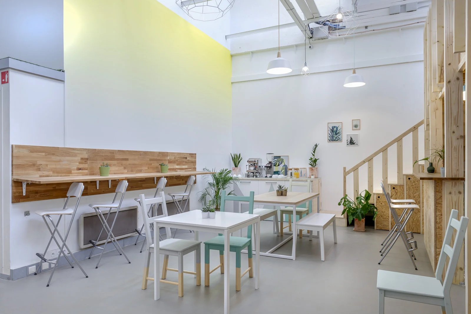 Intérieur lumineux de café minimaliste avec tables, chaises en bois peintes, plusieurs plantes vertes et luminaires suspendus.