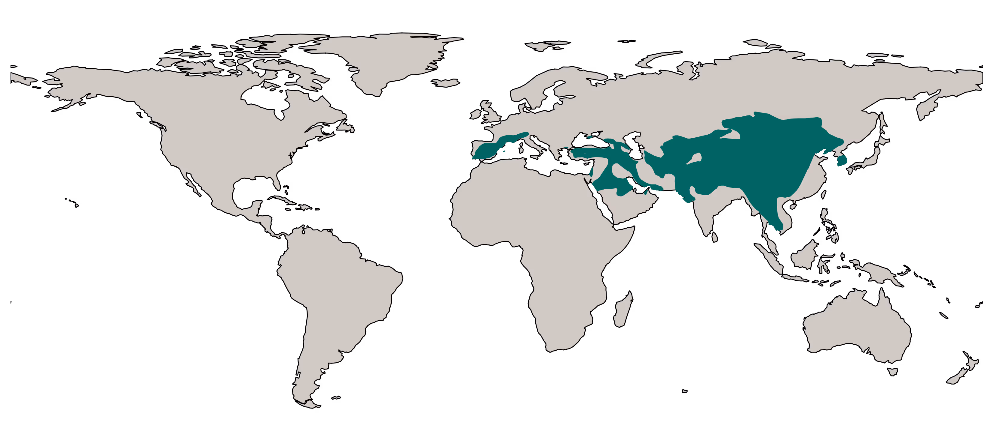 Gestileerde wereldkaart met continenten in lichtgrijs en verspreide turquoise gebieden die zich voornamelijk in Zuid-Europa en Azië bevinden.