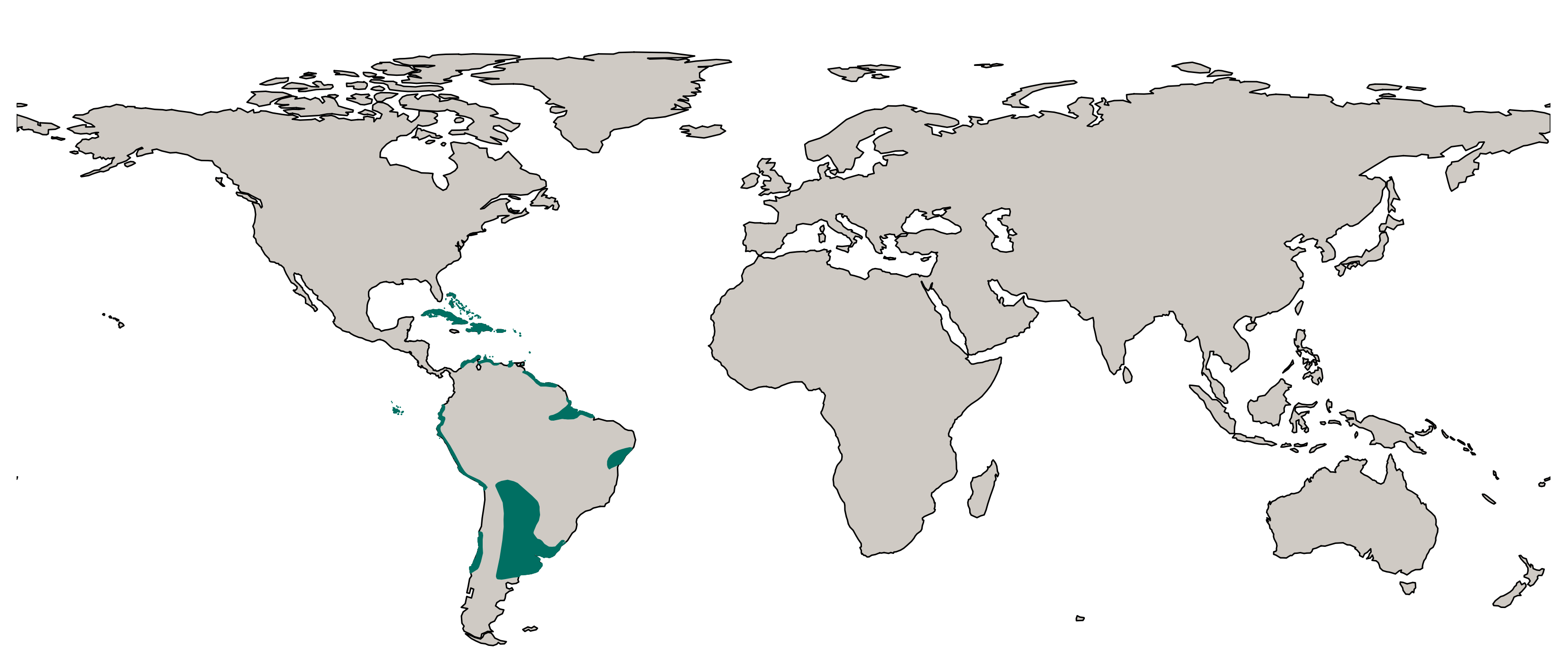 Een kaart waarop het leefgebied van de Bahama pijlstaarteend staat afgebeeld.