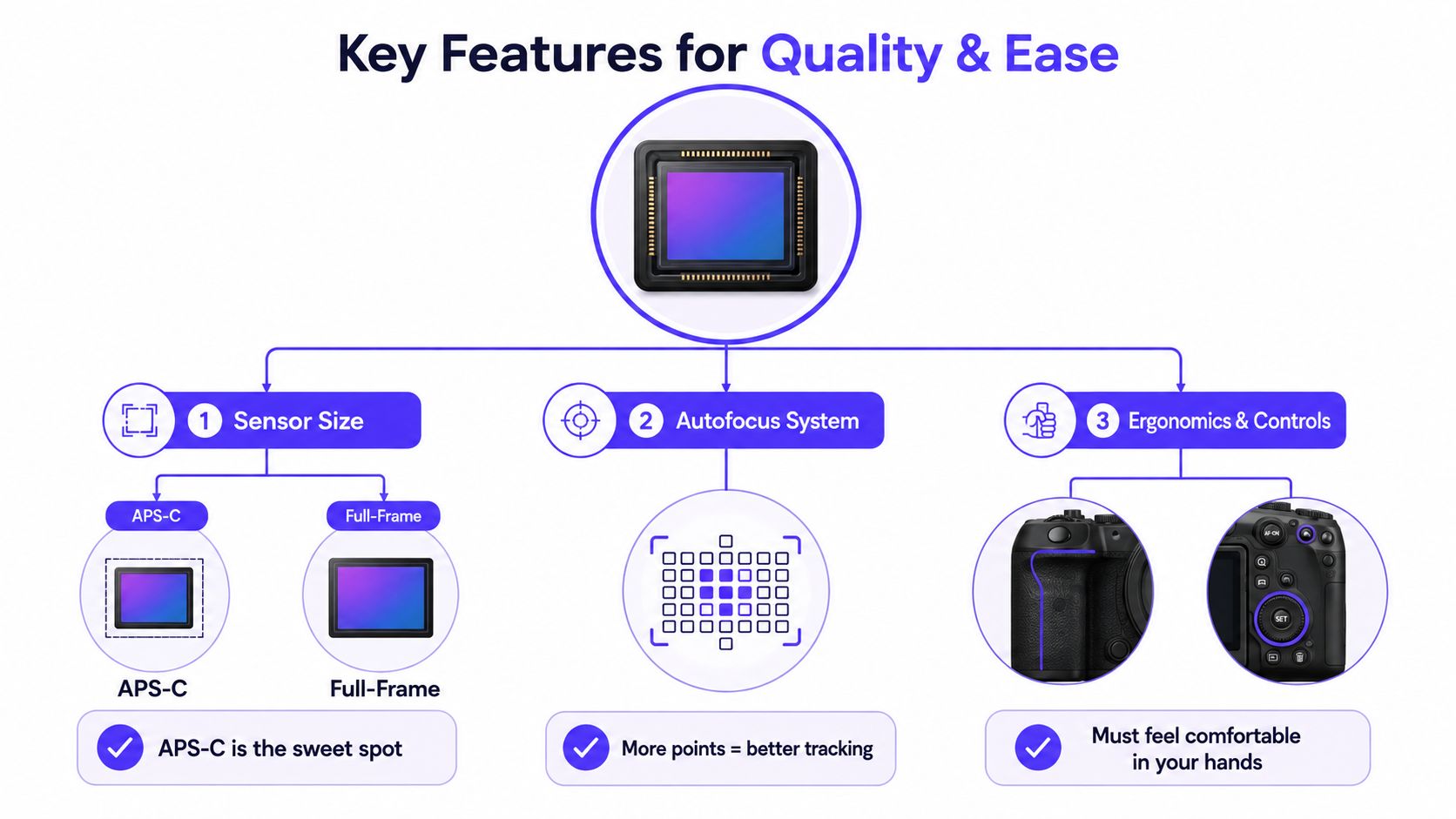 An infographic detailing the three key features for quality and ease in digital cameras: sensor size, autofocus system, and ergonomics.