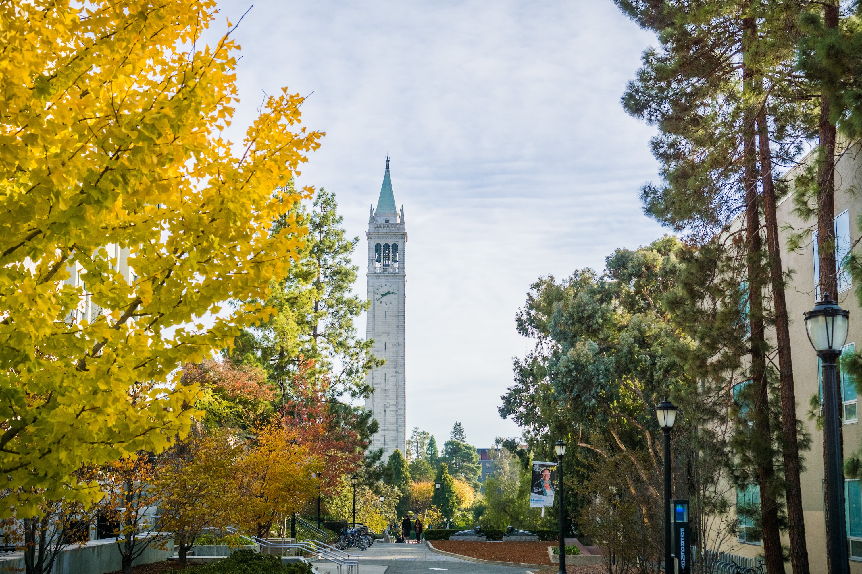 Scenic view of the campus clock tower surrounded by autumn trees near ArtHaus Dwight in Berkeley, CA.