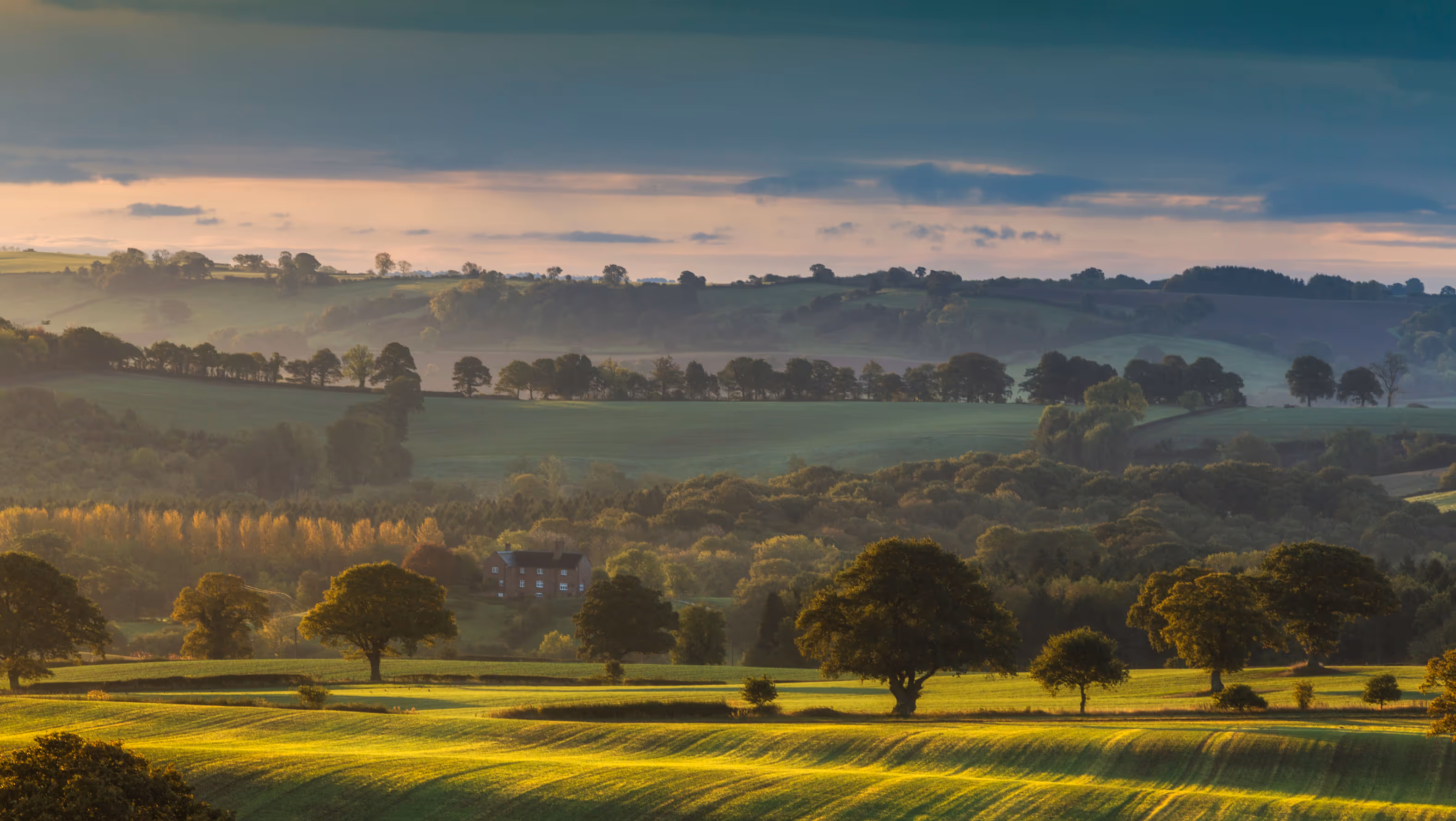 Countryside scene with trees and hills