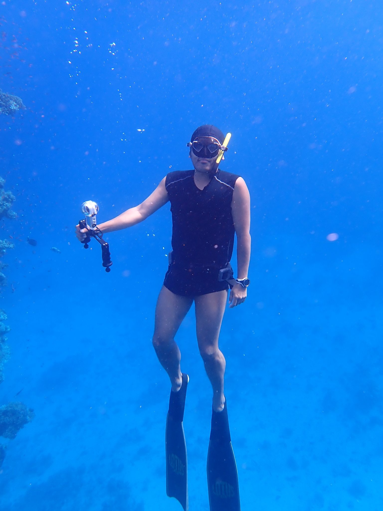 Plongeur qui filme des dauphins avec une caméra 360°