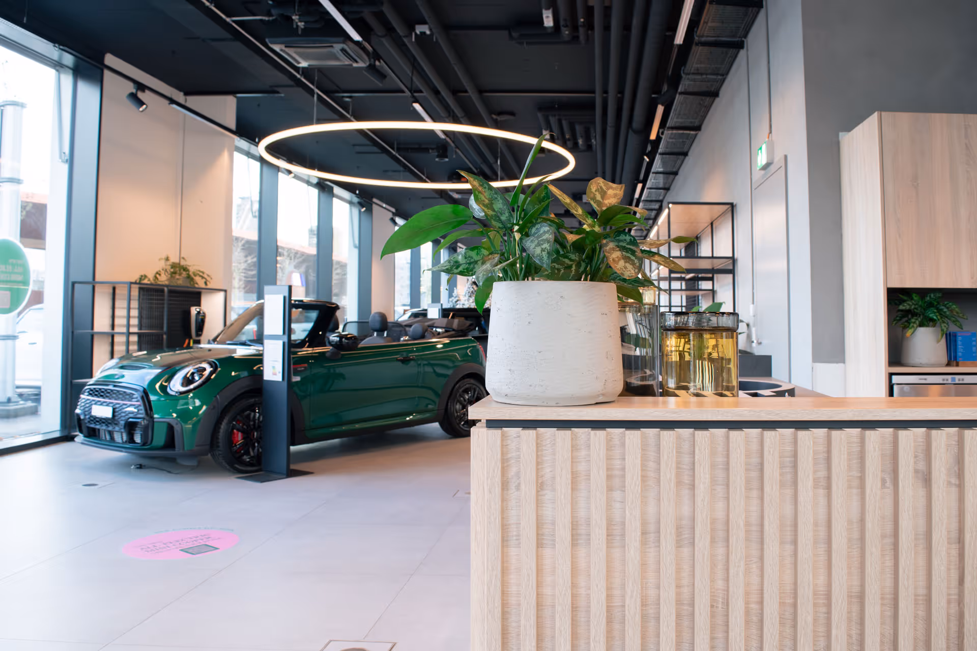 Zimmerpflanze auf dem Empfangstresen eines modernen Autohauses
