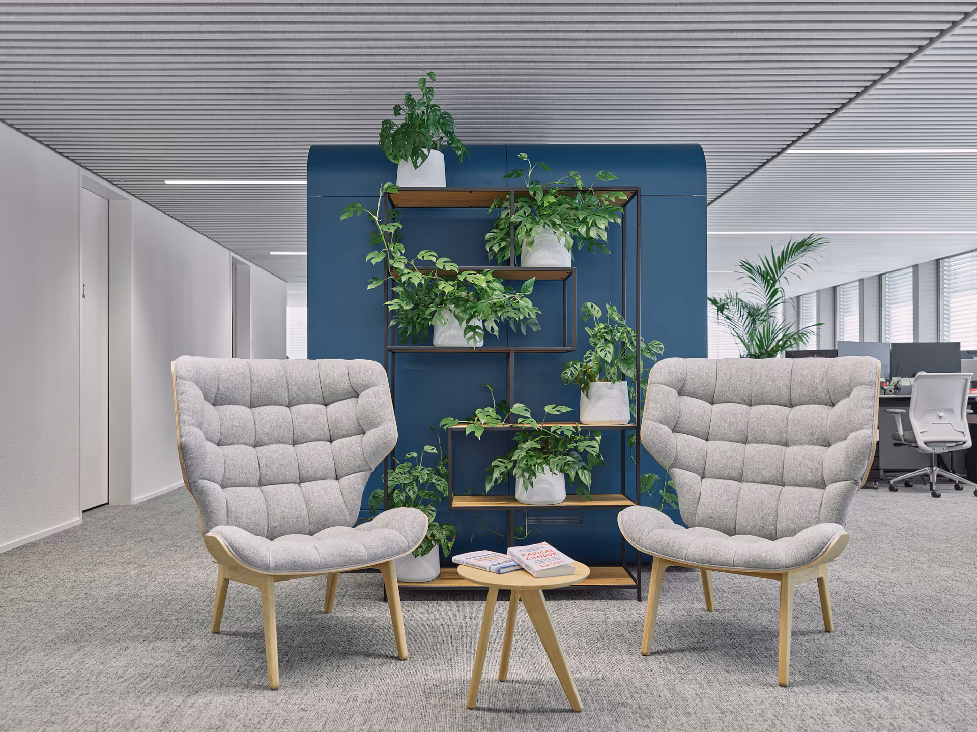 Begrünte Regale zwischen zwei Loungesesseln in einem modernen Büro